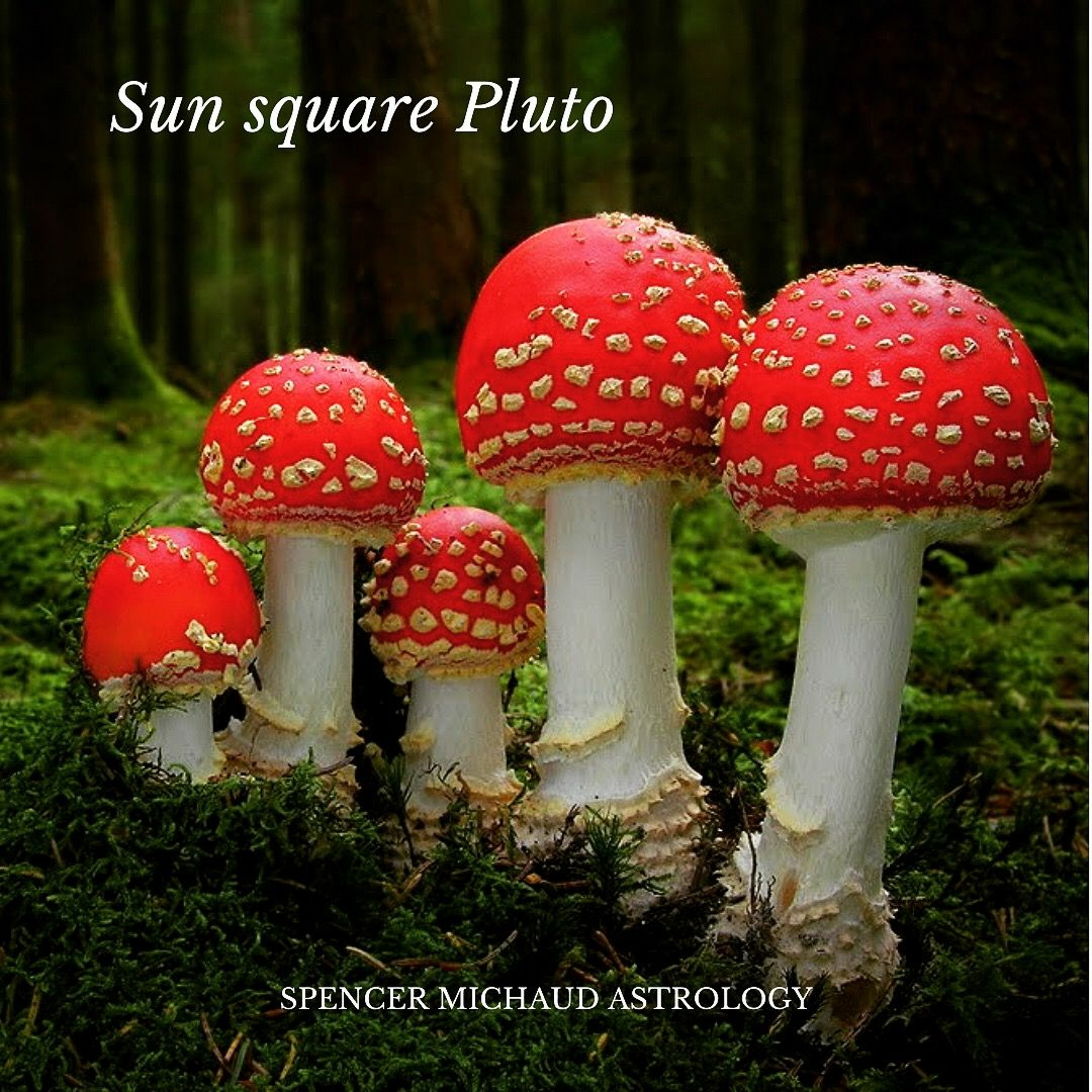 Spencer Michaud Astrology