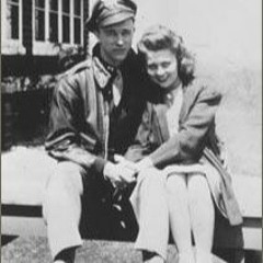 Brown Shoes Blue Suitcase