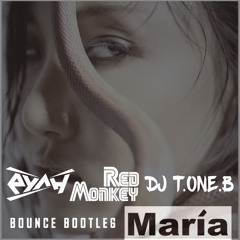 화사(HwaSa) - Maria ( EYaH & RedMonkey & T.ONE.B Remix )