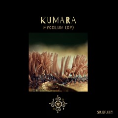 Kumara (PA) - Mycelium (Original Mix)