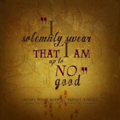 I SOLEMNLY SWEAR THAT I AM UP TO NO GOOD. MIX 803
