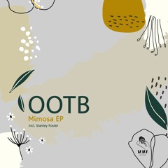 PREMIERE: OOTB - Mimosa [Taika Records]