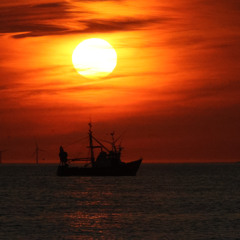 Hover: Chillout part 4 (10-12-2025)