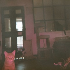 sage (prod. scribe x westly x dreamnote)