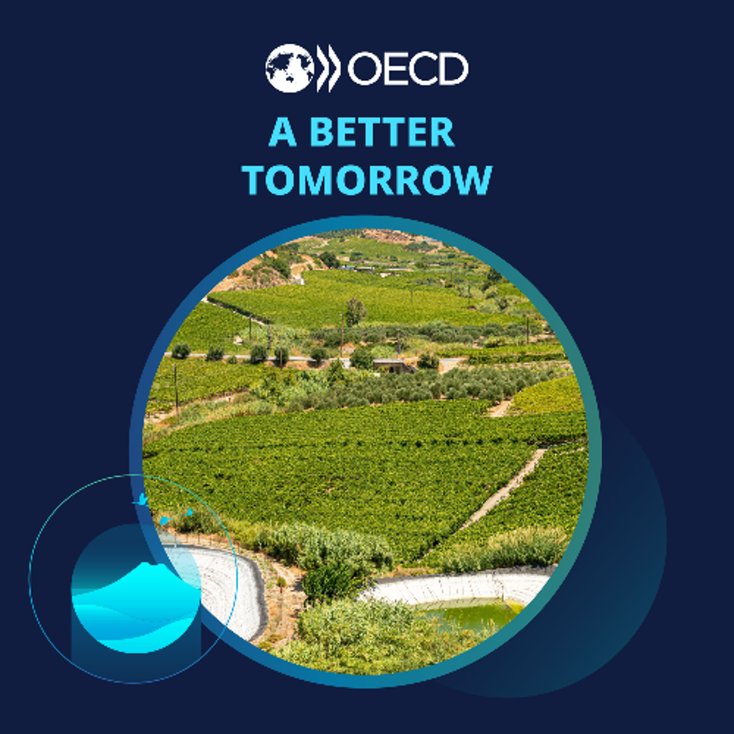 COGITO Talks…  Lean on Me: Three pillars for rural prosperity