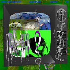 Hard In tha Paint + 1antibody