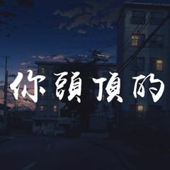 王小帅 - 你头顶的风【動態歌詞/Lyrics Video】