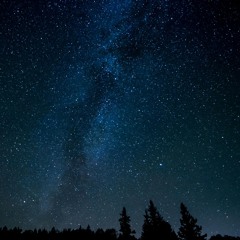 Under The Stars