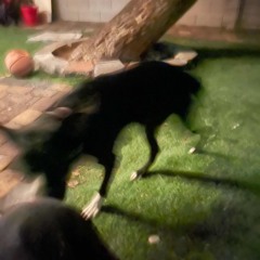 Ken Carson - Psycho (feat. Waytoohurt)