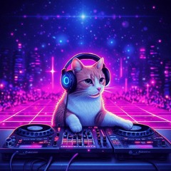 funky bouncy bitz