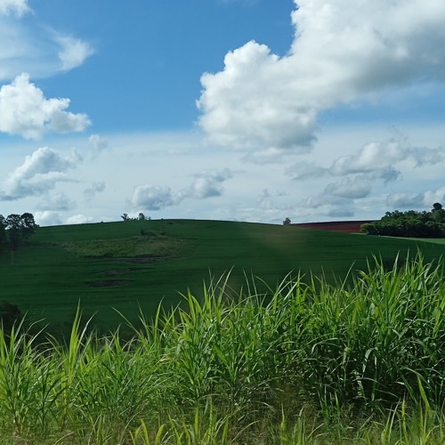 in the aeroplane over the sea