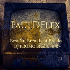PAULDFLEX - NU-BREAKBEAT / BREAKS [DJMIX]