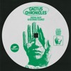 Descargar video: PREMIERE - Radial Gaze & Geopard Tourist - Cactus Chronicles (Neskeh Remix) (Epicure Records)