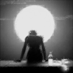 10 - My Insanity