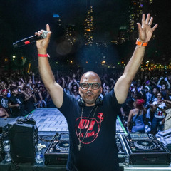 LIVE @ Chicago SummerDance 2025