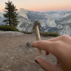 phat tire “new york sludge”