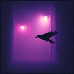 Night’s Embrace