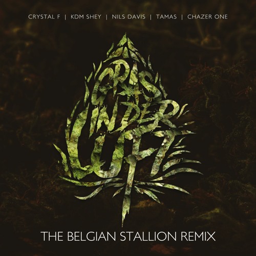 Crystal F - Gras in der Luft [The Belgian Stallion Remix]