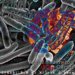Jackal Queenston & Darius-funny organism