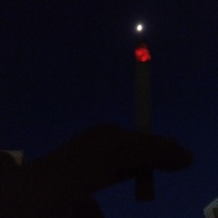 xanylix sold me fent