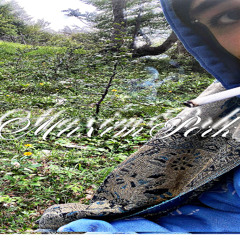 ազատում.-(prod.m@x1mp0rK)