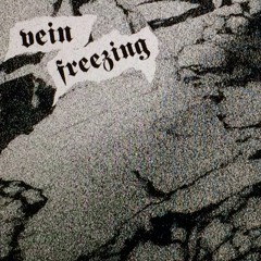 [FREE] Killstation X Bones X OmenXIII Type Beat - Vein Freezing (prod. by LastHourOfTheNight)