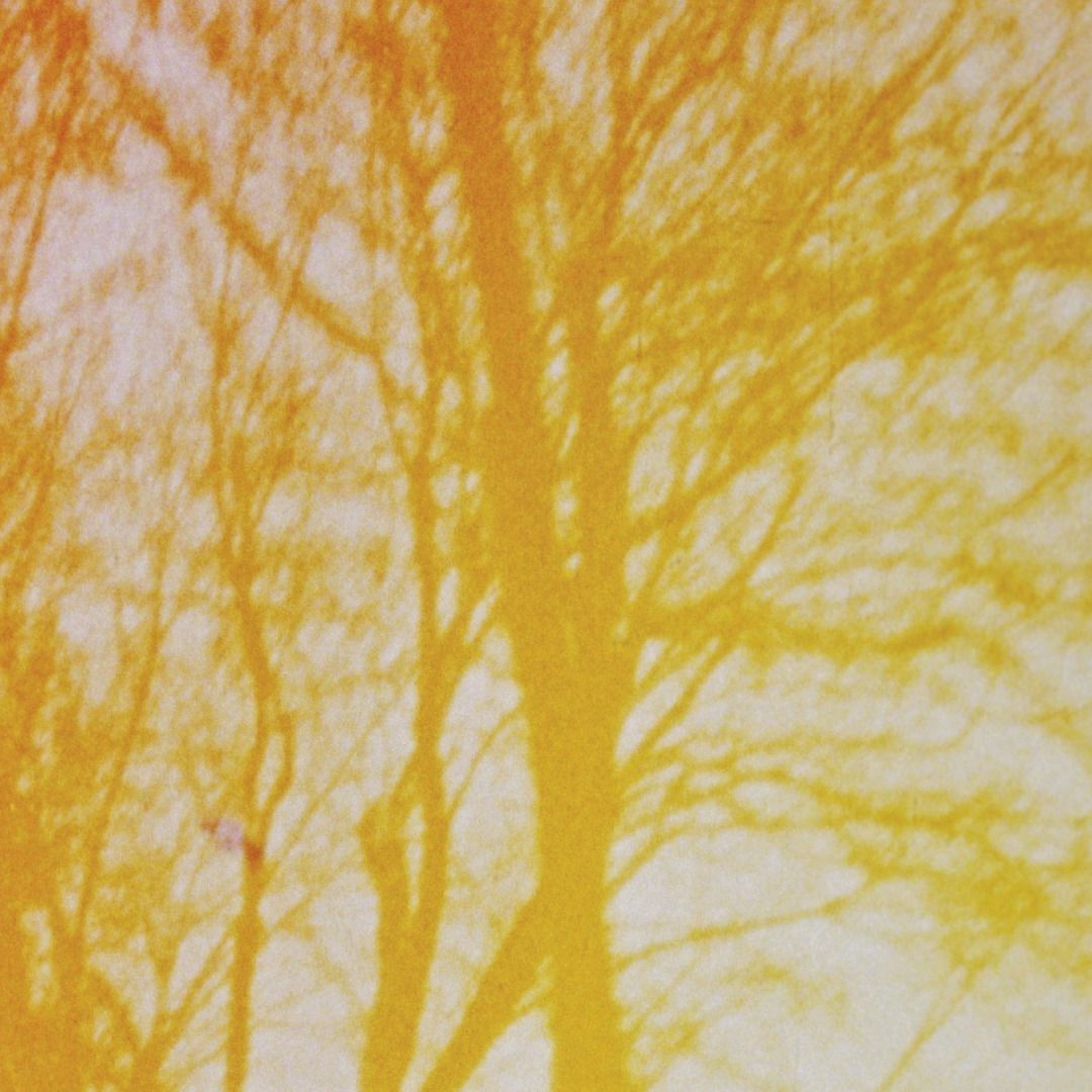 Confins des Ondes - lundi 30 mars episode artwork