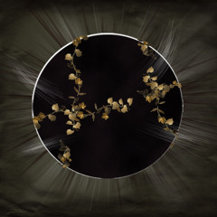 The Starless Kingdom-Variation B
