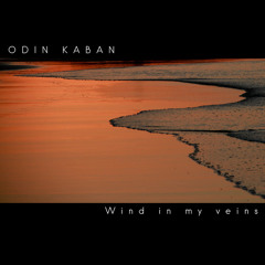Odin Kaban - Asking Machines Life Answers [Cinco Ciclos Records]