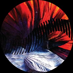 Premiere: [RHZ003] Kinjo - Marxian (Dragomir Remix)