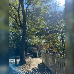 Blossom Friend (Nick Drake cover)