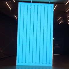 206 Vladimir Nikolić, 800m