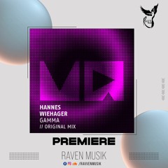 PREMIERE: Hannes Wiehager - Gamma (Original Mix) [Mogador Records]