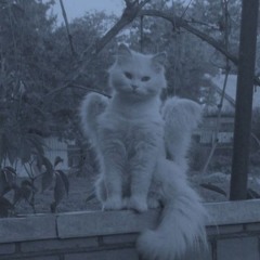 Prayers (@prodmiercoles)