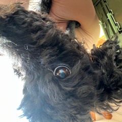 HATAKEN Modular Jam 23Dec2021 t1