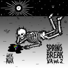 Fuck The Record - SPRING BREAK VA Vol.2 (FREE @ SUCK PUCK)