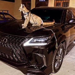 LEXUS200 + ТРЕДВЕЙВ (prod. ravereligion)