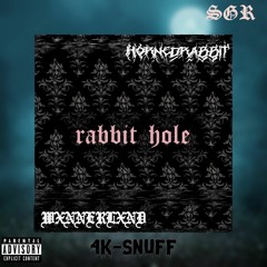 Rabbit Hole w/ wxnnerlxnd (prod. 4K-SNUFF)