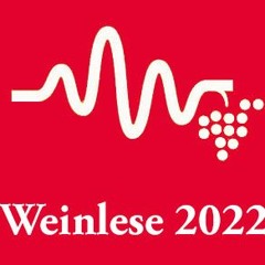 Weinlese 2022 | Deutsche Weine