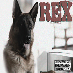 rex (ewvaaikai)