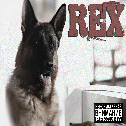 rex (ewvaaikai)