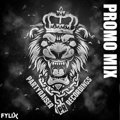 Partyraiser Recordings (2020) Promo Mix | by Fylix