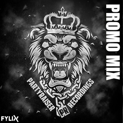 Partyraiser Recordings (2020) Promo Mix | by Fylix
