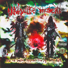 [Premiere] nikitaw0lfe + Noumeno - AFTERIMAGE