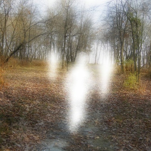 A Journey With Me