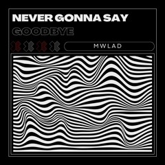 Never Gonna Say Goodbye