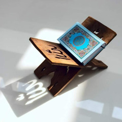 إِنَّ أَصْحَابَ الْجَنَّةِ الْيَوْمَ فِي شُغُلٍ فَاكِهُونَ | سمير عزت