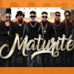 Maturite - Harmonik