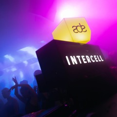 Intercell ADE 2022