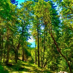 THE SOONER, THE LATER